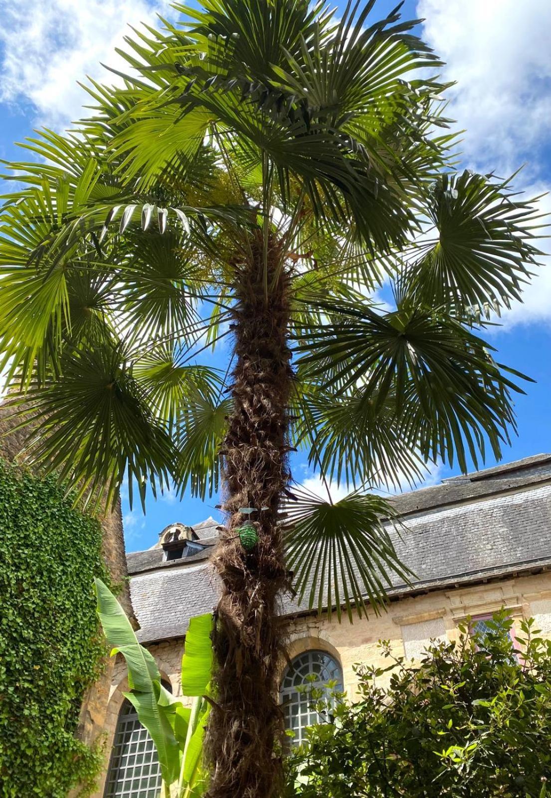 La Villa Des Consuls - Gite De Tourisme De Charme Sarlat-la-Canéda Exteriér fotografie